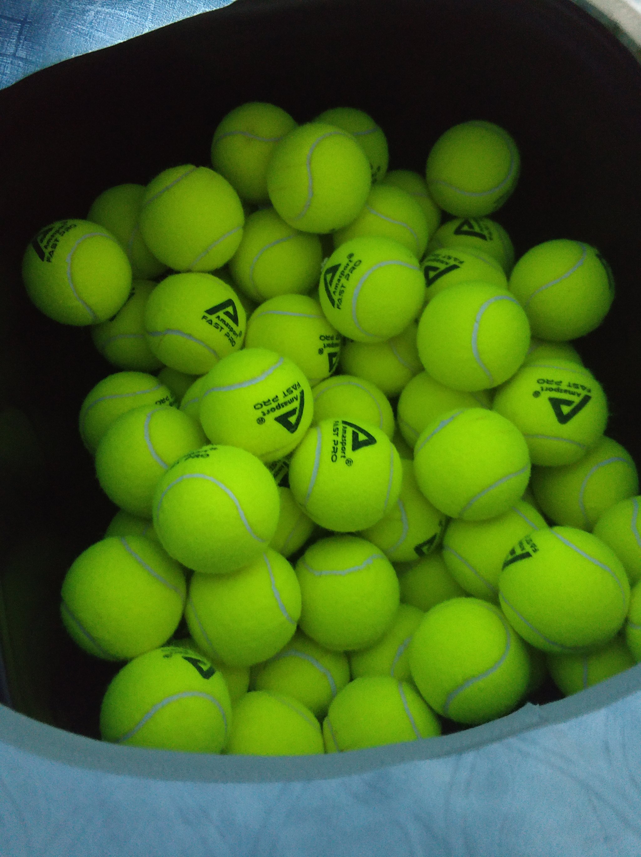 正是她能够 正是她能够