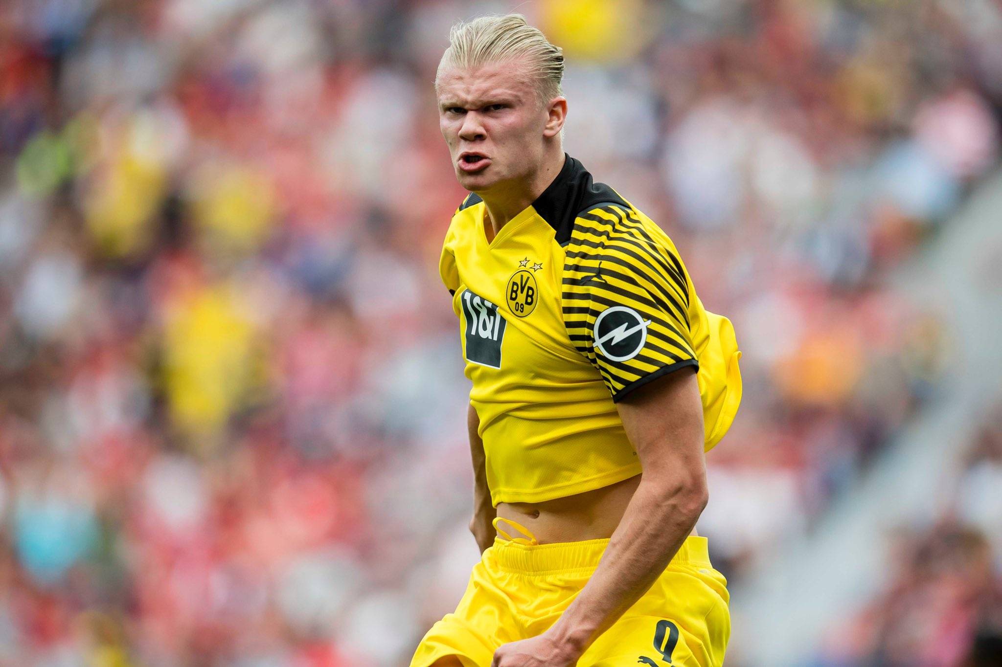 模拟比分落 模拟比分落